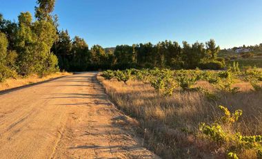Venta de Parcelas en Cauquenes, Región del Maule