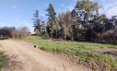 Doñihue, Sector Cerro El Cólera