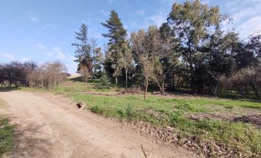 Doñihue, Sector Cerro El Cólera