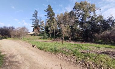 Doñihue, Sector Cerro El Cólera