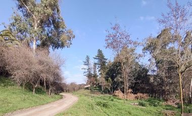 Doñihue, Sector Cerro El Cólera