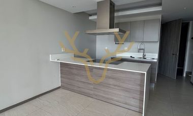 PENTHOUSE EN RENTA EN PARK LIFE