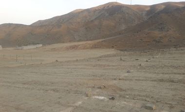 Gran terreno en Huaral