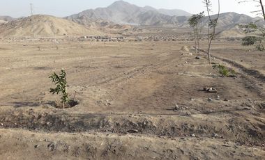 Gran terreno en Huaral