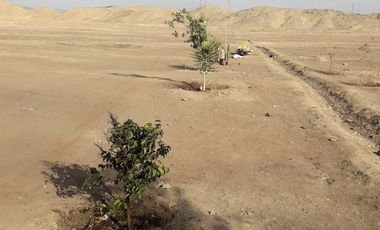 Gran terreno en Huaral