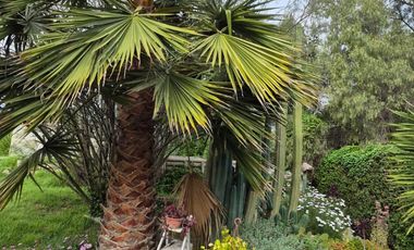 Exclusiva Parcela con 3 Casas, Piscina y Amplias Áreas Verdes en La Cruz – 5.060 m² de Terreno