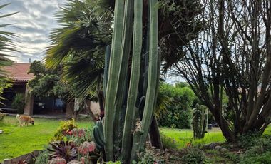 Exclusiva Parcela con 3 Casas, Piscina y Amplias Áreas Verdes en La Cruz – 5.060 m² de Terreno