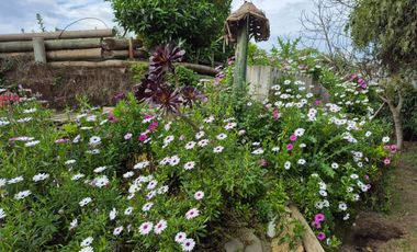 Exclusiva Parcela con 3 Casas, Piscina y Amplias Áreas Verdes en La Cruz – 5.060 m² de Terreno