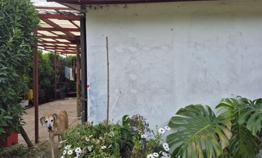 Exclusiva Parcela con 3 Casas, Piscina y Amplias Áreas Verdes en La Cruz – 5.060 m² de Terreno