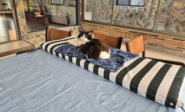 Exclusiva Parcela con 3 Casas, Piscina y Amplias Áreas Verdes en La Cruz – 5.060 m² de Terreno