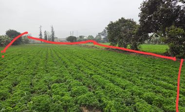Terreno Rural En Venta En Carabayllo