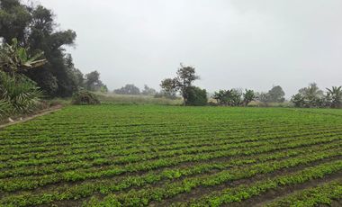 Terreno Rural En Venta En Carabayllo