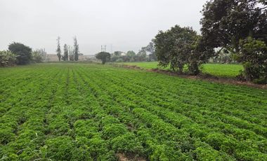 Terreno Rural En Venta En Carabayllo