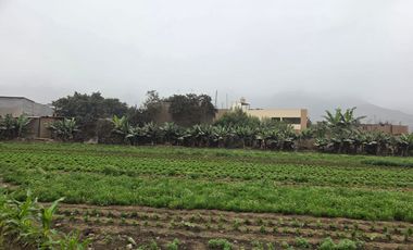 Terreno Rural En Venta En Carabayllo
