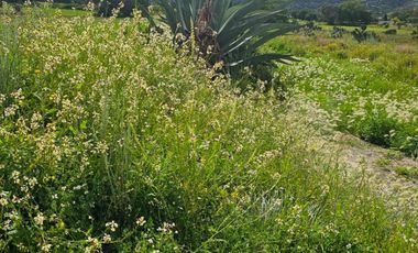 EXELENTE OPORTINIDAD TERRENO EN SAN JUAN TILCUATLA IDEAL PARA DESARROLLO HABITACINAL