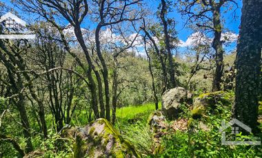TERRENO ÚNICO EN LA CIMA DEL FRACC. SAN CAYETANO CON VISTA TOTAL A LOS 4 PUNTOS CARDINALES