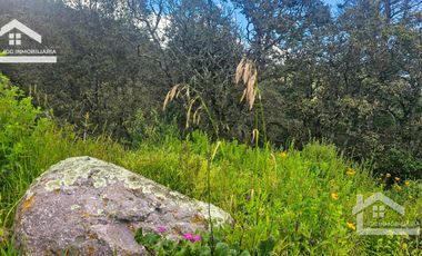 TERRENO ÚNICO EN LA CIMA DEL FRACC. SAN CAYETANO CON VISTA TOTAL A LOS 4 PUNTOS CARDINALES