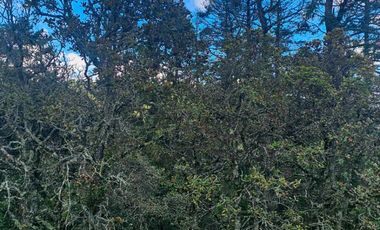 TERRENO ÚNICO EN LA CIMA DEL FRACC. SAN CAYETANO CON VISTA TOTAL A LOS 4 PUNTOS CARDINALES