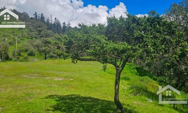 TERRENO ÚNICO EN LA CIMA DEL FRACC. SAN CAYETANO CON VISTA TOTAL A LOS 4 PUNTOS CARDINALES