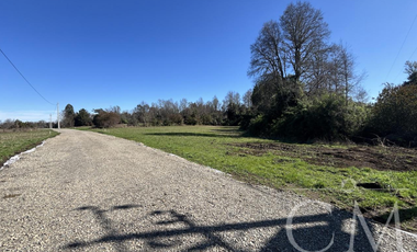 Parcelas Valdivia sector Cudico, orilla  carretera Valdivia- Mariquina