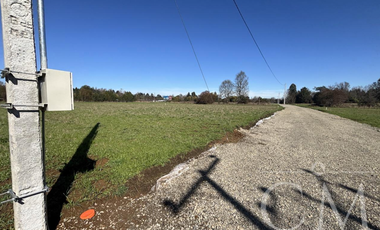 Parcelas Valdivia sector Cudico, orilla  carretera Valdivia- Mariquina