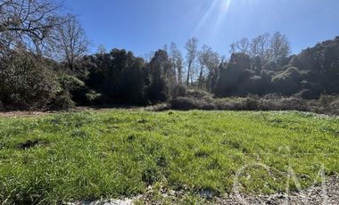 Parcelas Valdivia sector Cudico, orilla  carretera Valdivia- Mariquina