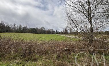 Parcelas Valdivia sector Cudico, orilla  carretera Valdivia- Mariquina