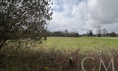 Parcelas Valdivia sector Cudico, orilla  carretera Valdivia- Mariquina