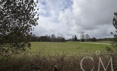 Parcelas Valdivia sector Cudico, orilla  carretera Valdivia- Mariquina