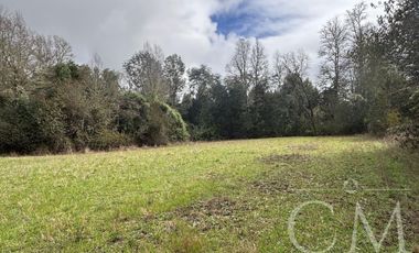 Parcelas Valdivia sector Cudico, orilla  carretera Valdivia- Mariquina