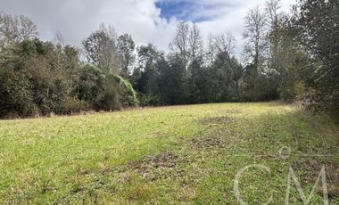 Parcelas Valdivia sector Cudico, orilla  carretera Valdivia- Mariquina