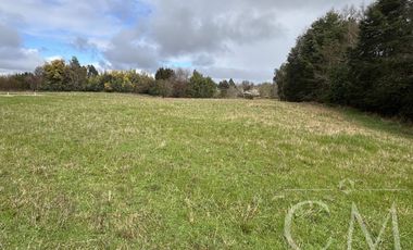 Parcelas Valdivia sector Cudico, orilla  carretera Valdivia- Mariquina