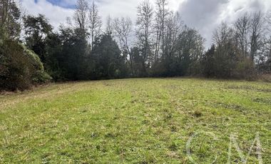 Parcelas Valdivia sector Cudico, orilla  carretera Valdivia- Mariquina