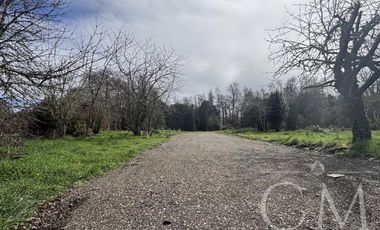 Parcelas Valdivia sector Cudico, orilla  carretera Valdivia- Mariquina