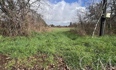 Parcelas Valdivia sector Cudico, orilla  carretera Valdivia- Mariquina