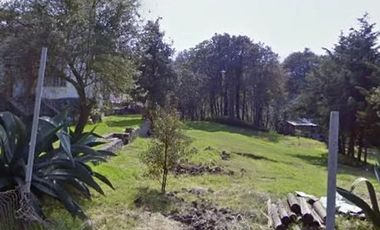 PROL. LUCERNA SUR NO. 31