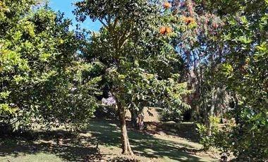 ARRIENDO Finca Carmen de viboral vereda samaria.