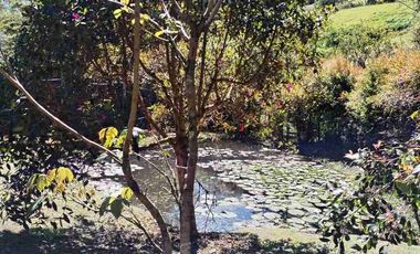 ARRIENDO Finca Carmen de viboral vereda samaria.