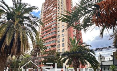 Cómodo departamento, 1 dormitorio en suite, terraza, linda vista despejada en noveno piso. Bodega.