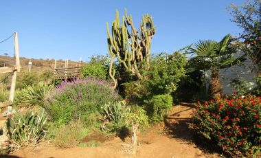 Gran Parcela en Melipilla