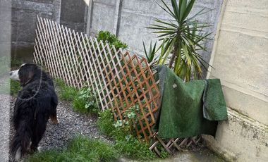 Casa 3 dorm, 3 baños, patio. Sector los Cipreses. Chiguayante