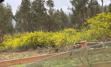 Parcela 5.000 m2 cerca de Copiulemu, Camino Concepción -  Cabrero. Región del Bio Bio