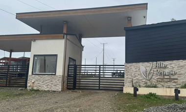 Parcela 5.000 m2 cerca de Copiulemu, Camino Concepción -  Cabrero. Región del Bio Bio