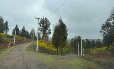 Parcela 5.000 m2 cerca de Copiulemu, Camino Concepción -  Cabrero. Región del Bio Bio