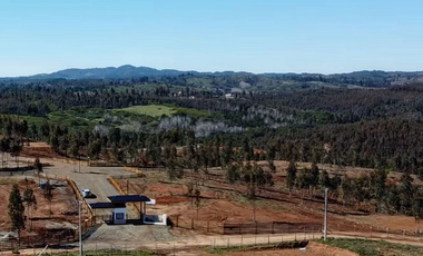 Parcela 5.000 m2 cerca de Copiulemu, Camino Concepción -  Cabrero. Región del Bio Bio
