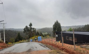 Parcela 5.000 m2 cerca de Copiulemu, Camino Concepción -  Cabrero. Región del Bio Bio
