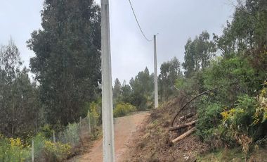 Parcela 5.000 m2 cerca de Copiulemu, Camino Concepción -  Cabrero. Región del Bio Bio