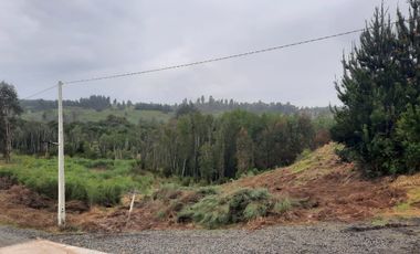 Parcela 5.000 m2 cerca de Copiulemu, Camino Concepción -  Cabrero. Región del Bio Bio