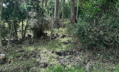 VENTA LOTE TOCANCIPA VIA GACHANCIPA CUNDINAMARCA