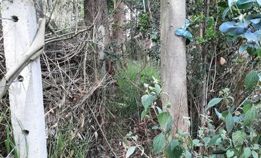 VENTA LOTE TOCANCIPA VIA GACHANCIPA CUNDINAMARCA